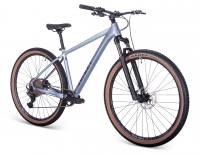 ASPECT COBALT EXPERT 29" (2025) серый