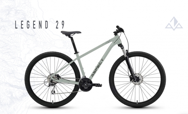 ASPECT LEGEND 29" (светло-серый) 2024