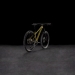 Cube REACTION TM ONE 29" (goldenlime'n'black) 2025