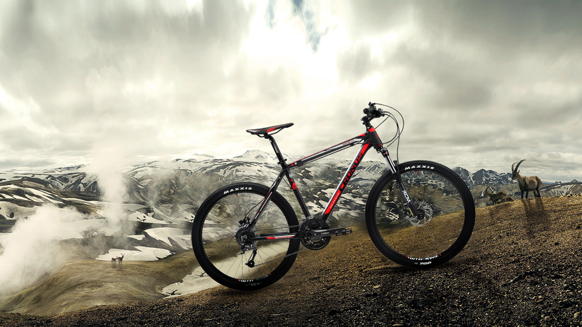 отличия велосипедов для бездорожья